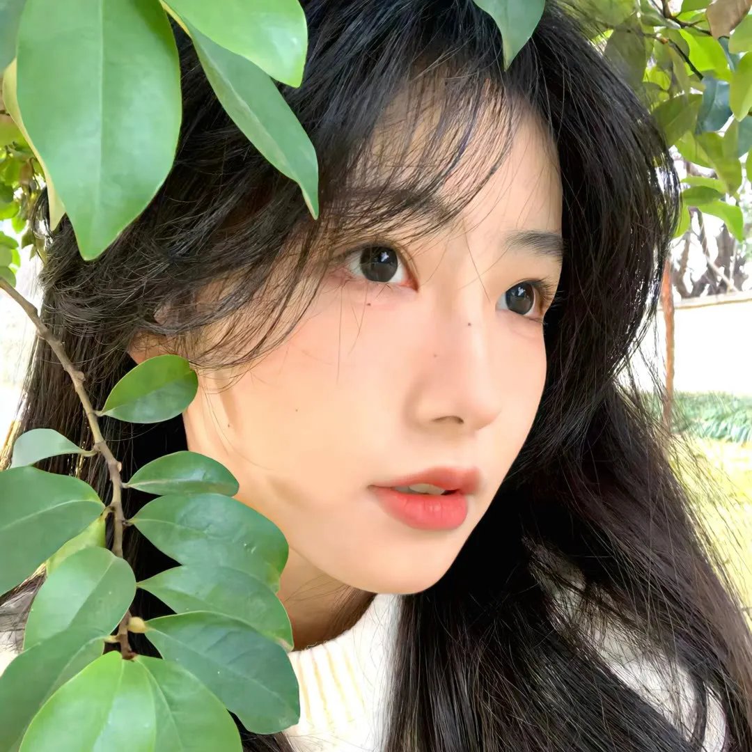 灵长类